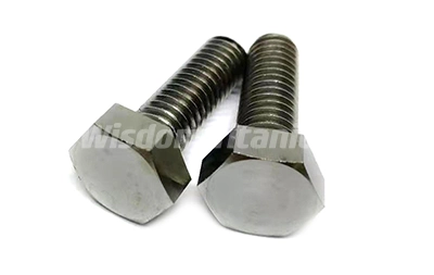 titanium hex head bolt